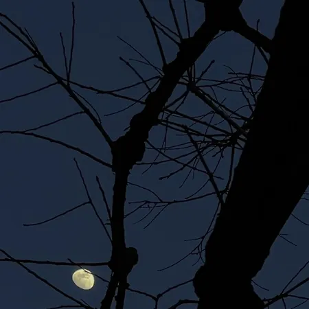 Faces&places Boutique 4* Tirana