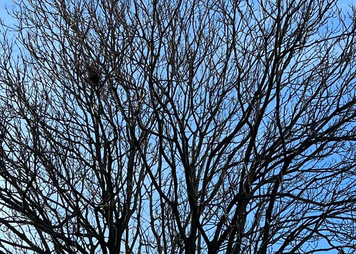 Hotell Faces & Places Boutique 4*