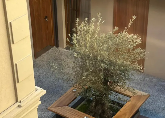 Faces & Places Boutique Hotell