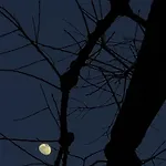 Faces & Places Boutique 4* Tirana