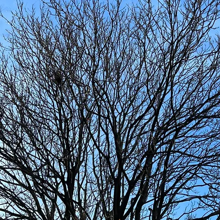 酒店 Faces & Places Boutique 4*