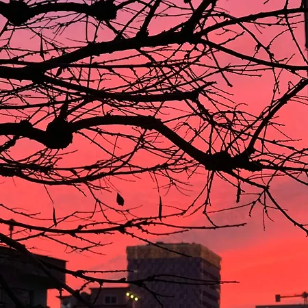 Faces & Places Boutique 酒店