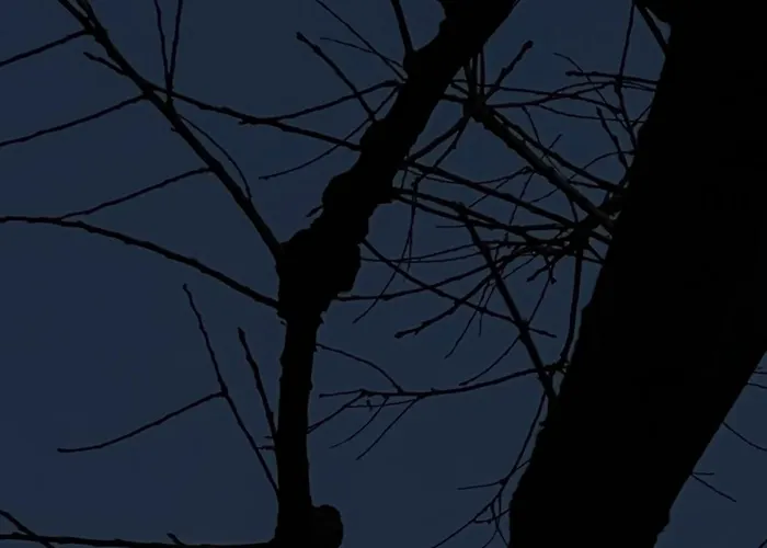 Faces & Places Boutique 4* Tirana