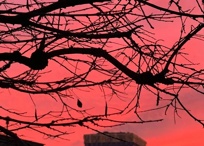 Faces & Places Boutique Hotel